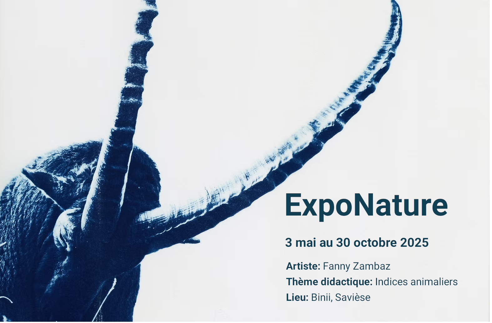 exponature_saviese