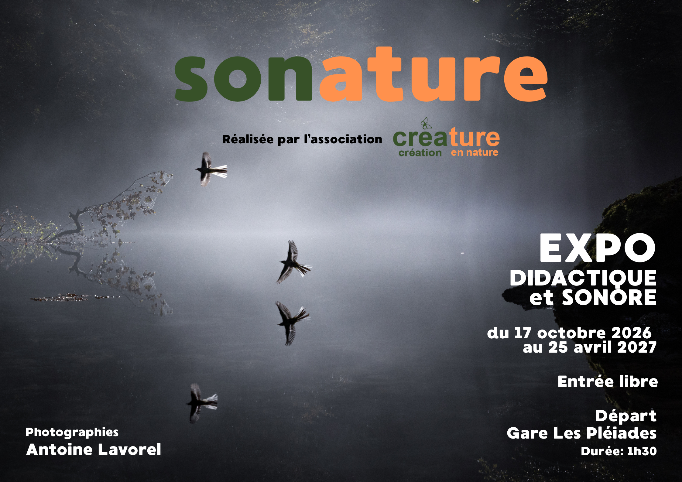 SONature, exposition dicatique