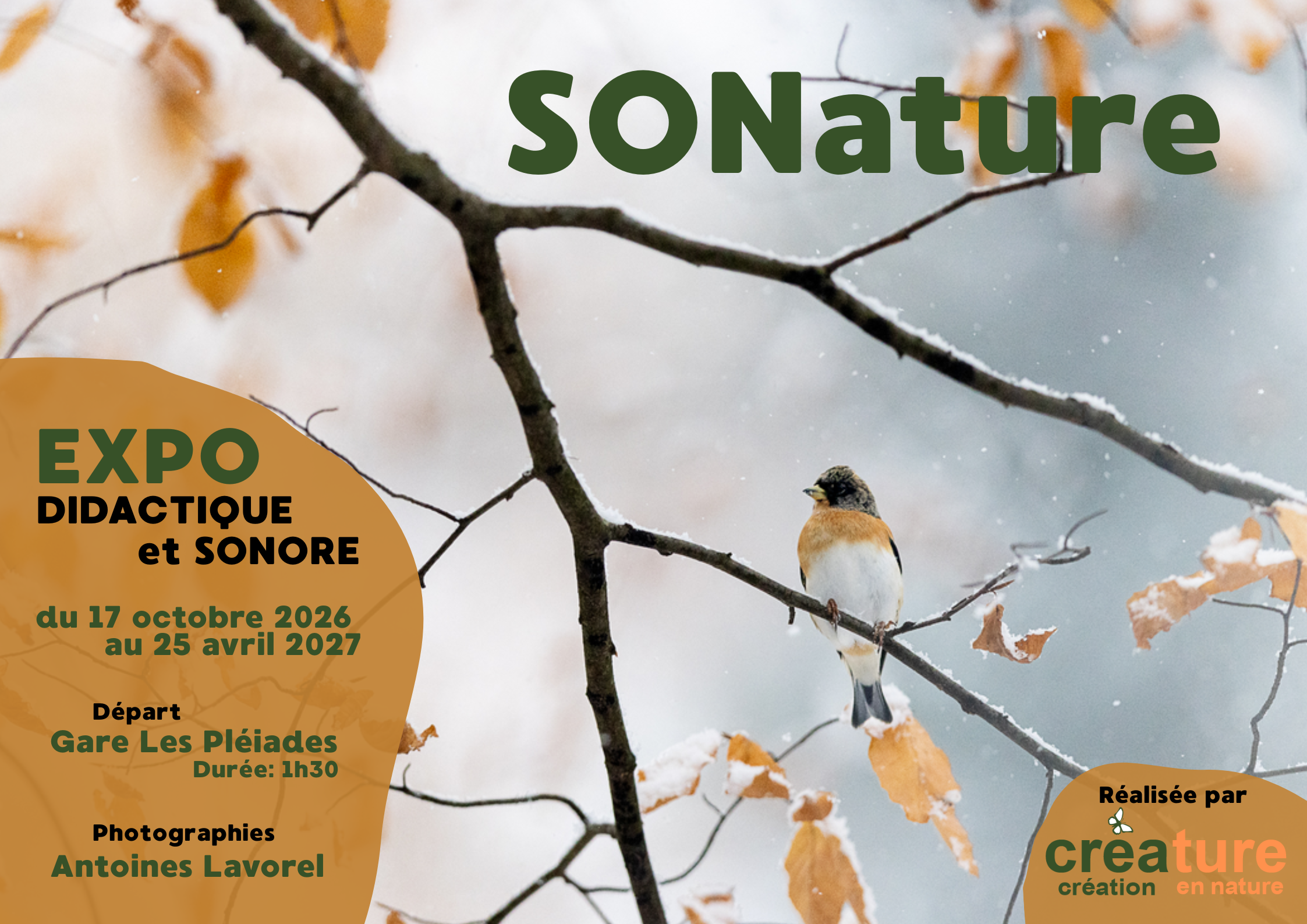 SONature(1) SONature, exposition dicatique